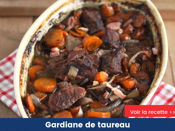 Gardiane de taureau